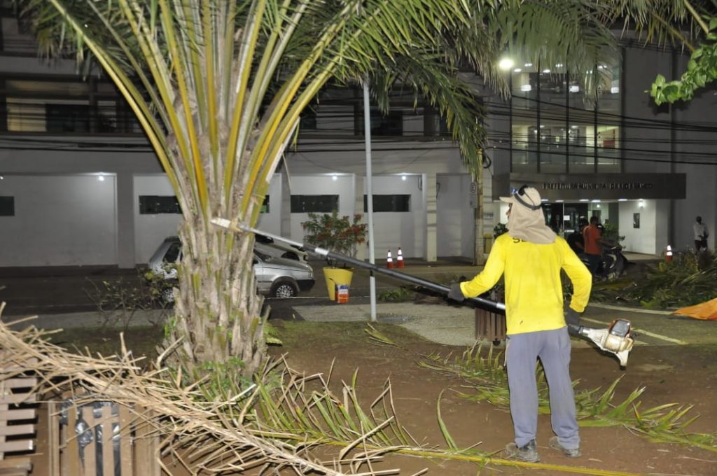 Secretaria de Meio Ambiente trabalha na poda de árvores na parte central de Rio Branco 4 WhatsApp Image 2021 04 23 at 12.23.24