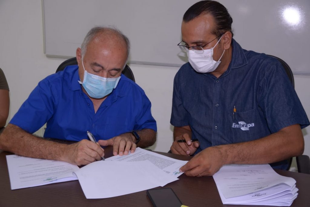 Prefeitura de Rio Branco e Embrapa assinam termo de cooperação técnica para melhorar padrão tecnológico da agropecuária na capital 2 WhatsApp Image 2021 08 27 at 12.23.06 1