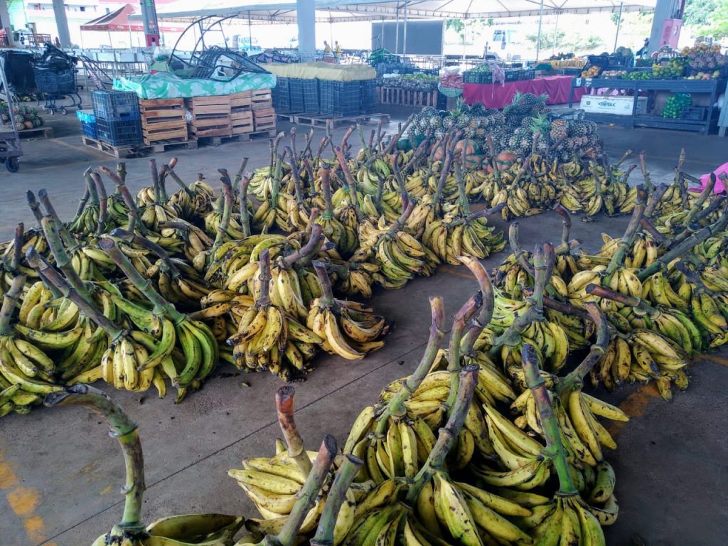 WhatsApp Image 2021 10 27 at 20.01.20