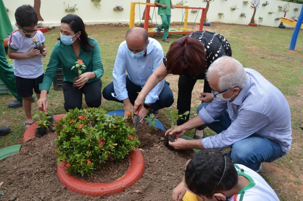 PROJETO CURUMINS 11.01 12