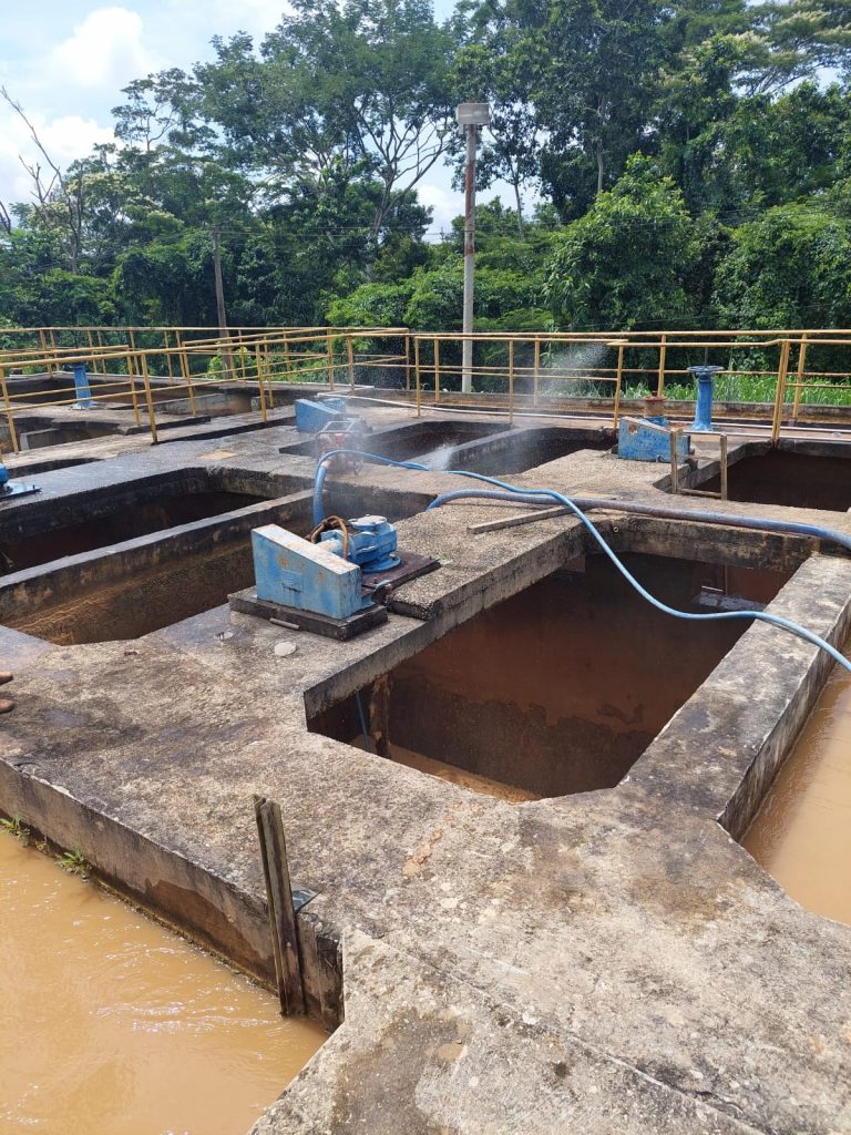 WhatsApp Image 2022 03 12 at 01.31.07