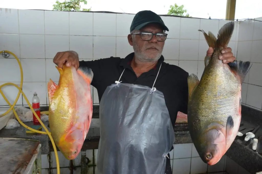 Prefeitura inicia XI Edição da Feira do Peixe e Agricultura Familiar nesta quarta-feira 4 FEIRA PEIXE 29.03 15