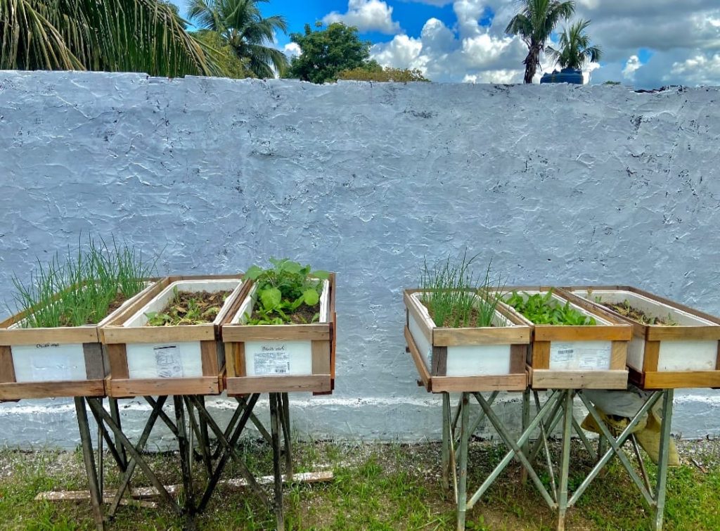 Prefeitura capacita gestores e professores de escolas municipais para o projeto piloto Hortas e Fazendinhas 2 5f9f5b5e e10a 4b7f a889 f91a06a1da43