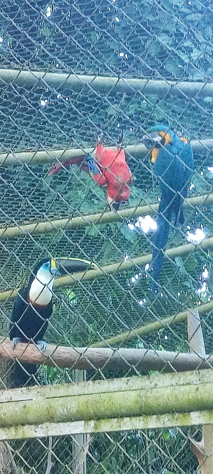 ATIVIDADES PARQUES ED 31.05 13