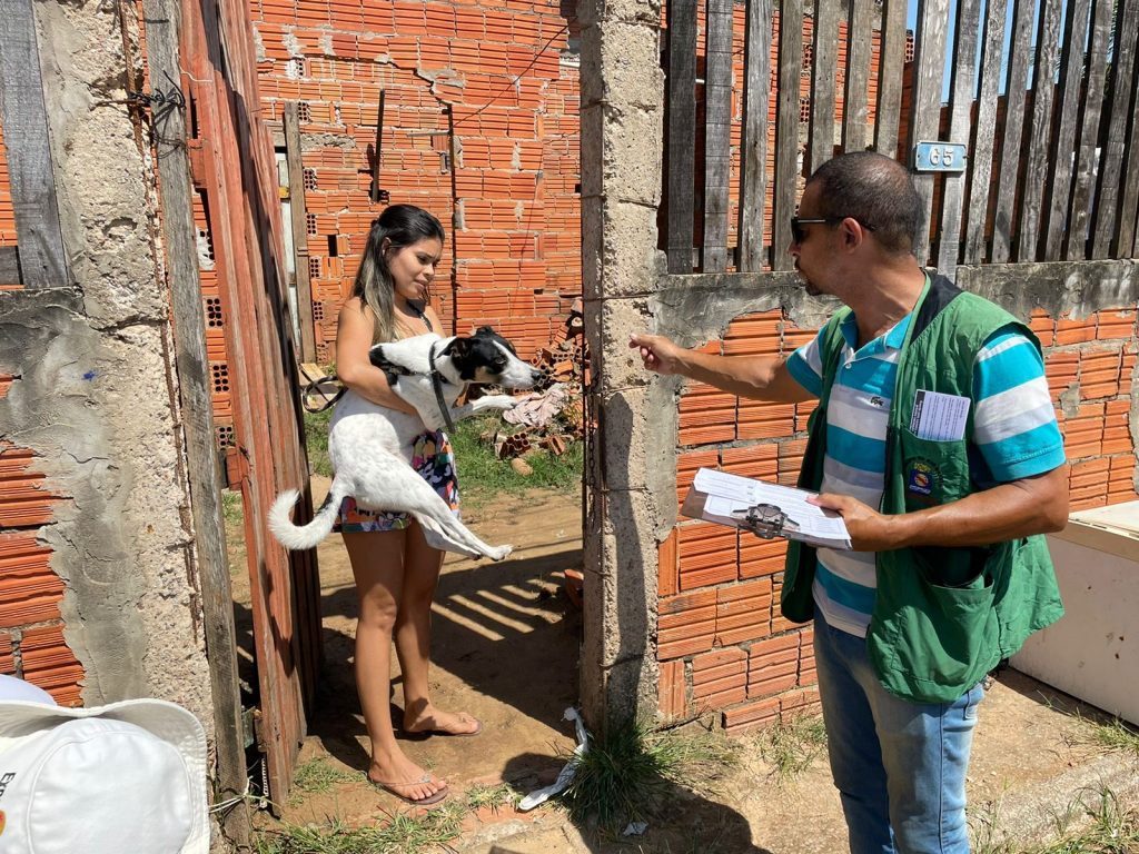 Vacinacao raiva 11