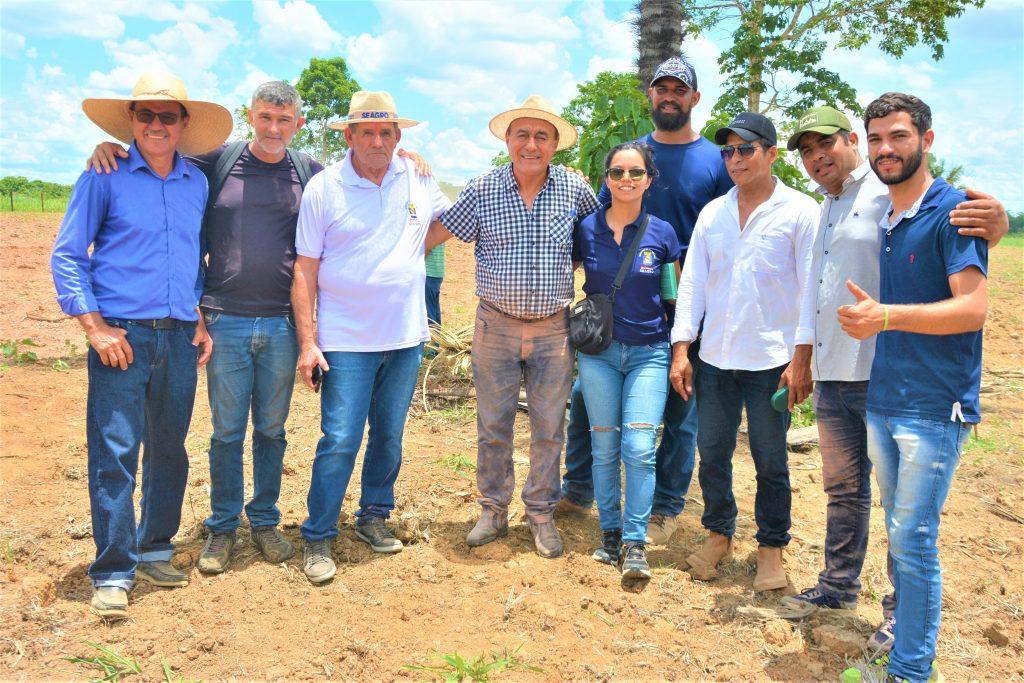primeira entrega de calcarioED 11