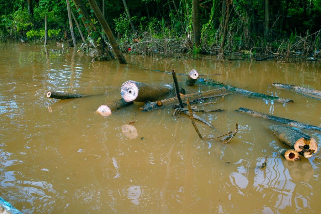 Prefeitura de Rio Branco faz limpeza de podas de árvores no Igarapé do Bola Preta 8 Igarape do Bola PretaRR 14