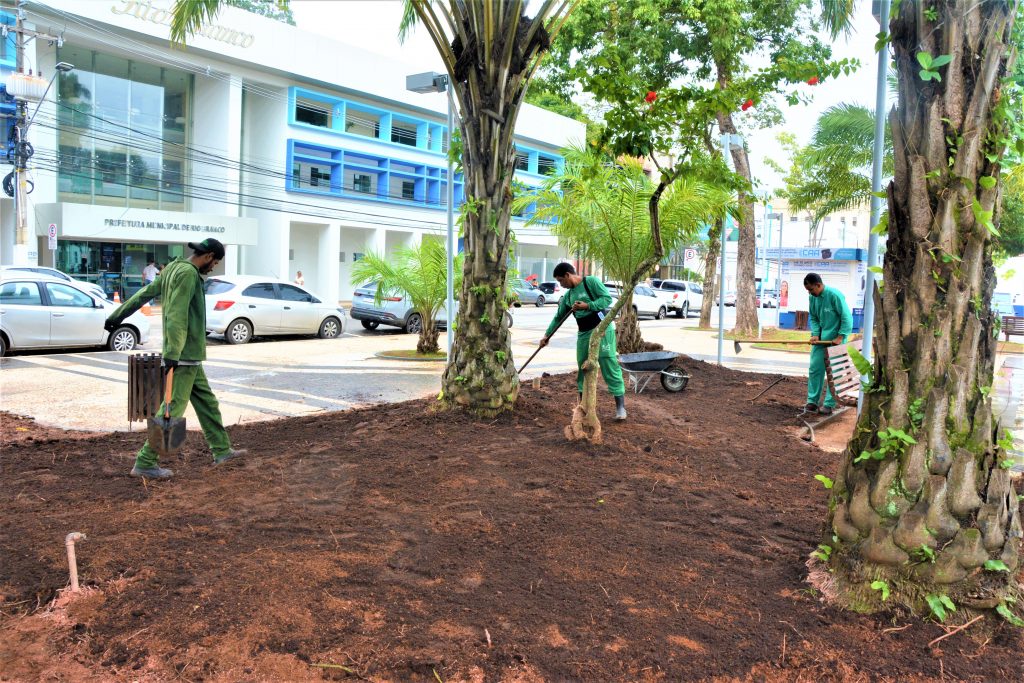 Paisagismo Pca Revolucao ED 15