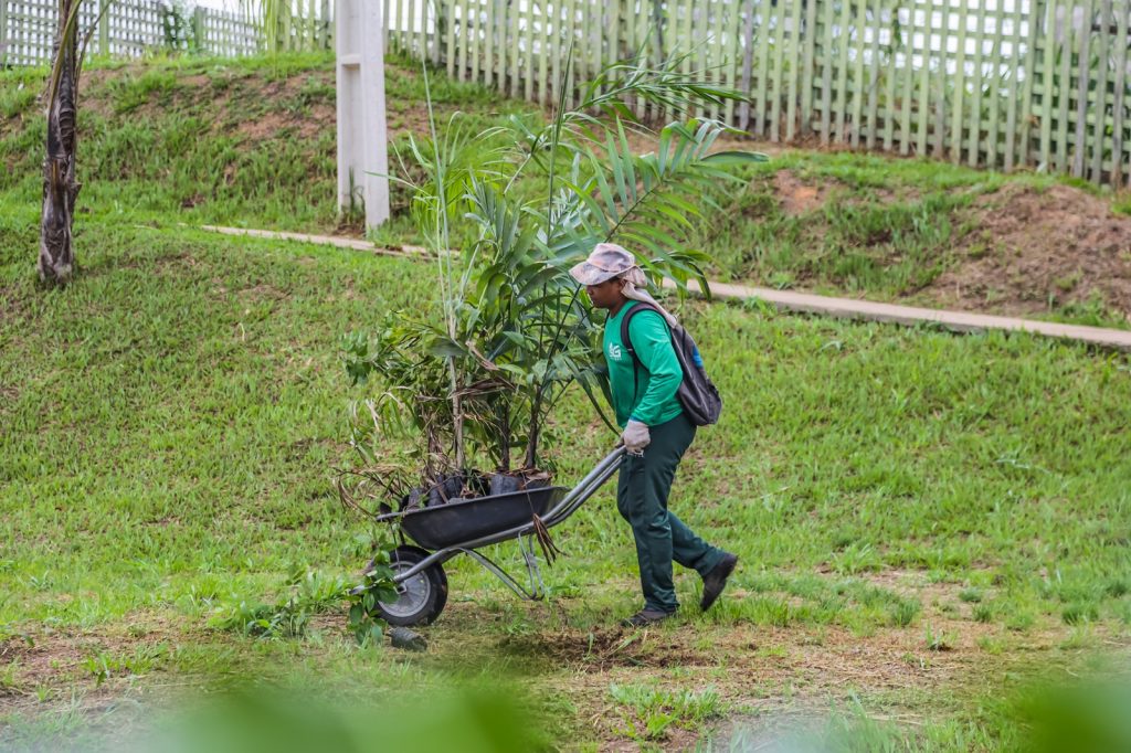 Prefeitura avança na recuperação de Áreas de Preservação Permanente do Igarapé Fidêncio 2 Refloredtamento 19