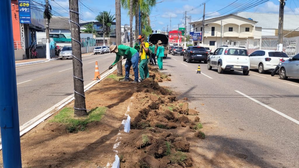 Prefeitura realiza intervenção na Avenida Ceará com plantio de amendoim forrageiro 5 Amendoim Forrageiro 5