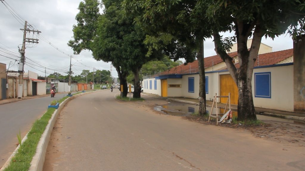 Prefeitura de Rio Branco esclarece sobre remoção de algumas árvores na capital 2 Arvore 4