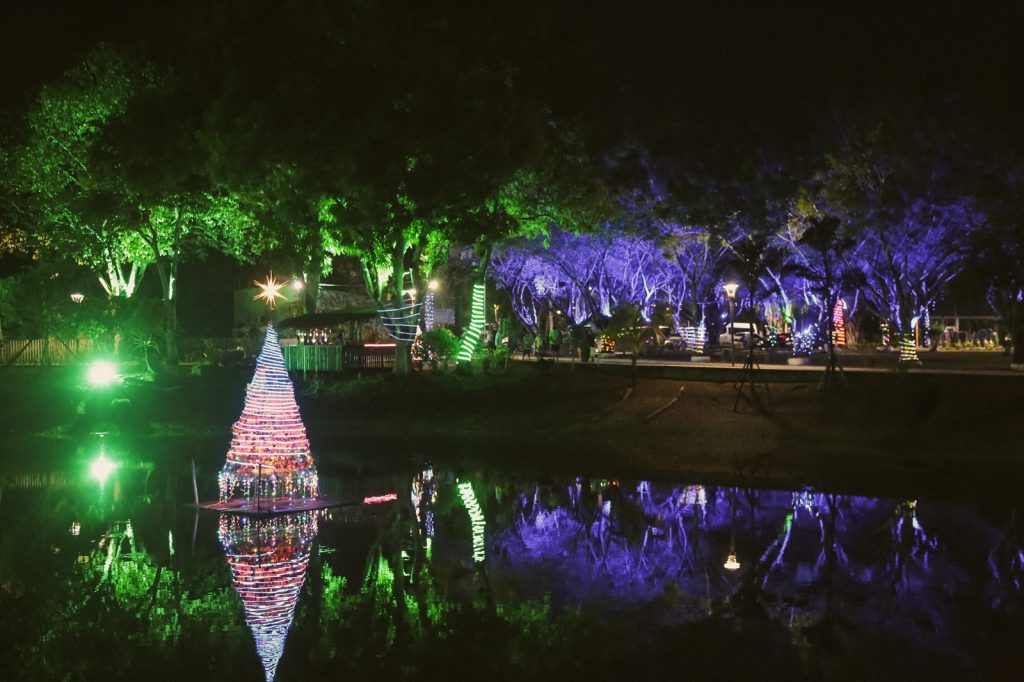 Horto Florestal de Rio Branco se ilumina com brilho e encanto das luzes de Natal 7 Luzes Horto Florestal 9