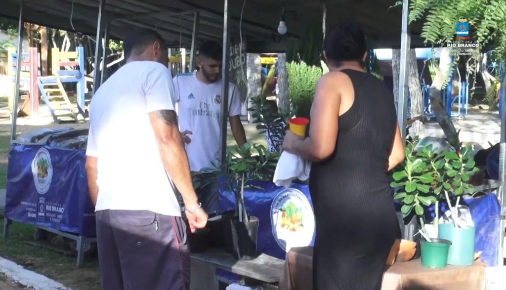 Feira natalina de economia solidária no Horto Florestal 2 Screenshot 20231224 111726 YouTube