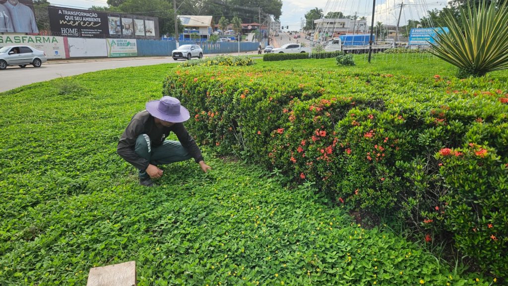 Prefeitura faz manutenção constante em rotatórias e canteiros para manter limpeza e cuidado com paisagismo na cidade 2 Semeia 4