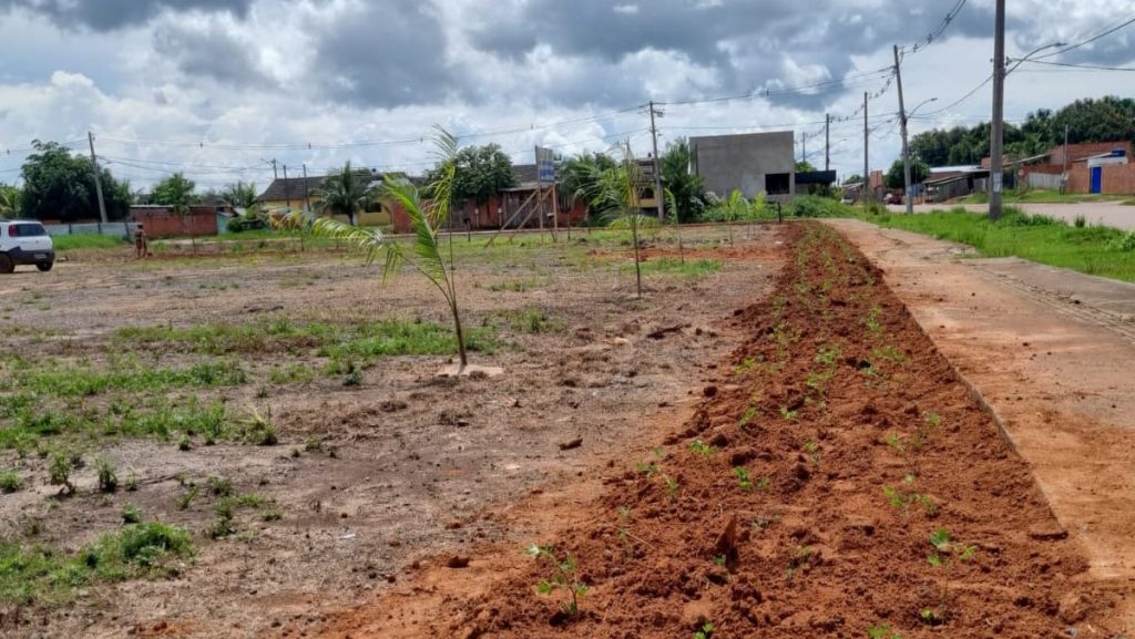 Prefeitura planta um futuro de beleza e sustentabilidade no bairro Cidade do Povo 1 ac49f020 afd3 4674 bea7 9b7342f8bec7 e1706803220418