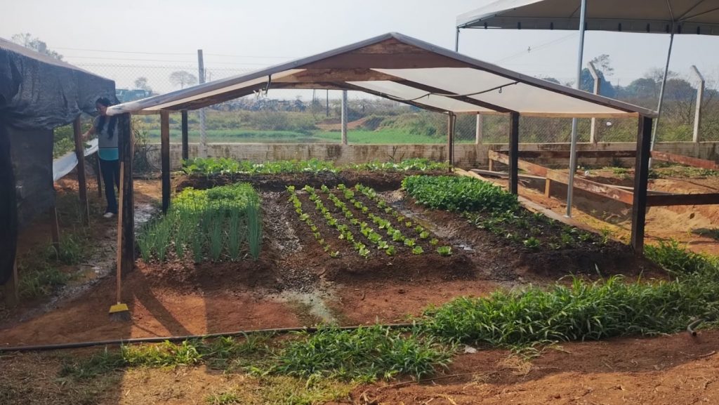 Rio Branco transforma antigo lixão em modelo de sustentabilidade e recebe reconhecimento internacional 7 5cca0232 b5a3 4b58 af79 bae7976334cf e1751039839412
