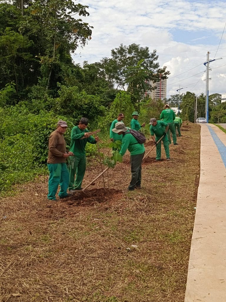 Prefeitura de Rio Branco realiza plantio de mudas na Cidade da Justiça durante a Semana do Meio Ambiente 8 Plantio na Cidade da Justica 5