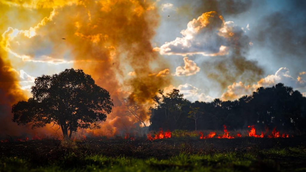 Ação conjunta da Prefeitura e setor imobiliário visa reduzir queimadas em terrenos baldios 10 Fiscalizacoes ambientais 8 e1752851503947