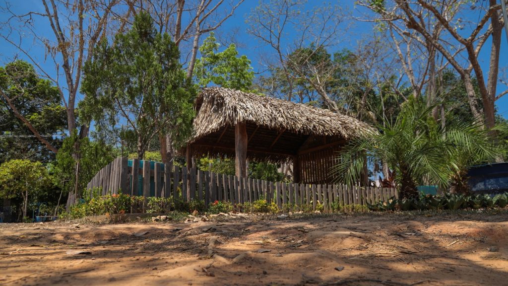 Para otimizar cessão de espaços no Horto Florestal, Semeia realiza “sorteio” de datas 6 Horto 4 e1756155698676