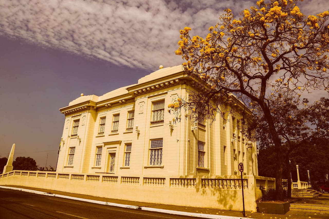 Ipes em Rio Branco Val Fernandes 5