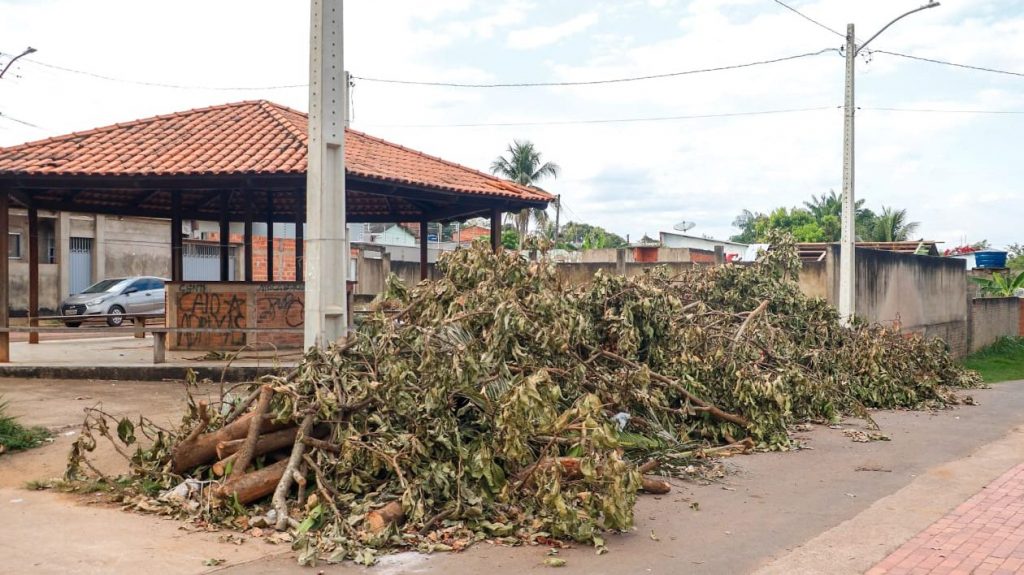Prefeitura de Rio Branco orienta moradores sobre podas e descarte correto de resíduos 9 Podas e descarte correto de residuos 14 e1755097634350