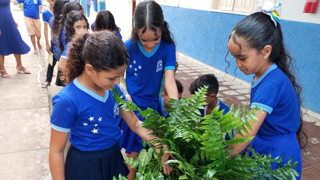 Projeto "Todos Contra o Aedes aegypti" inicia segunda etapa com formação e Dia D de mobilização em Rio Branco 3 895a3291 12c9 4894 9c6e 299e726790f9 e1758122354953