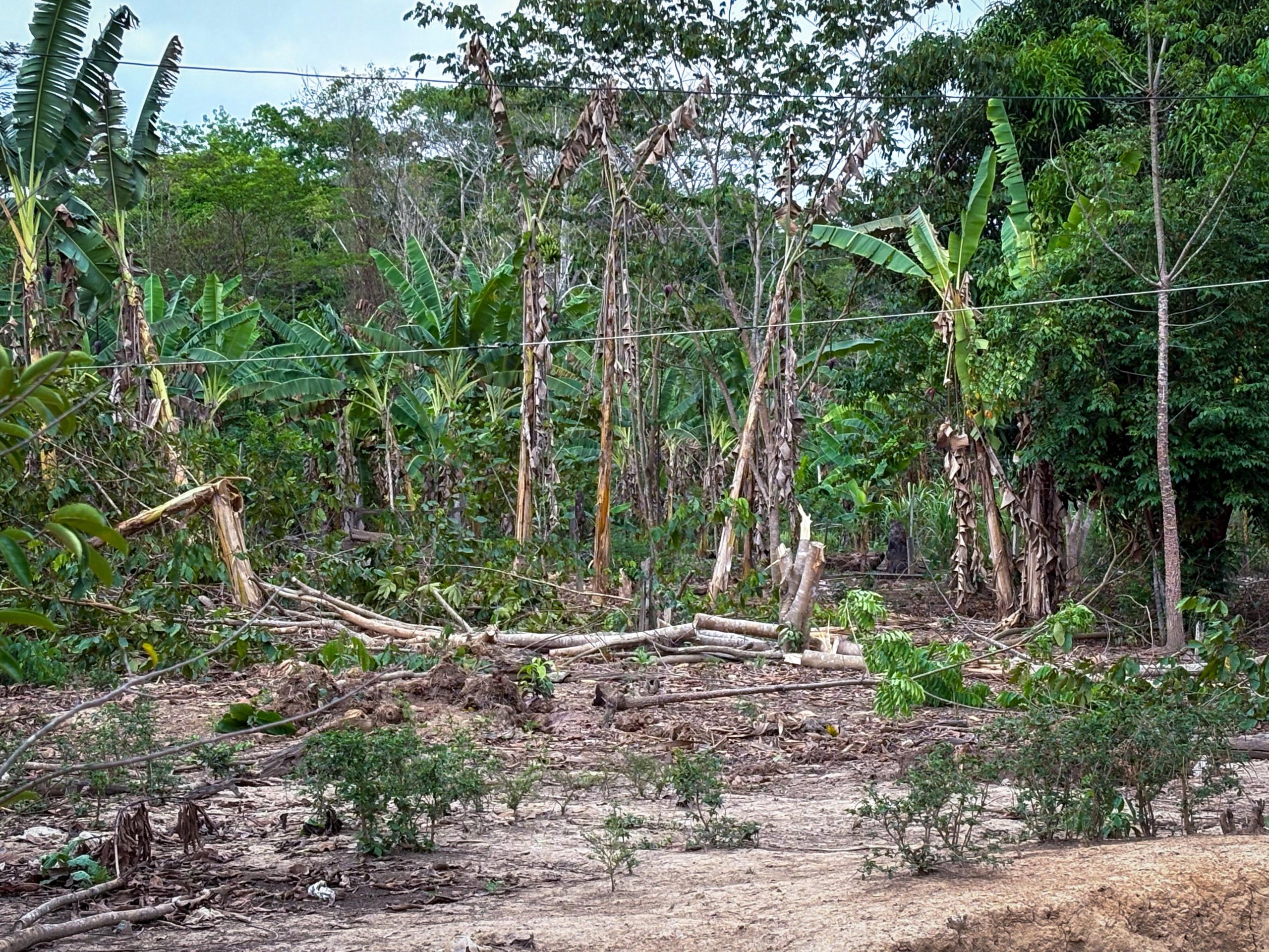 (Foto: Vitória Souza/Secom)