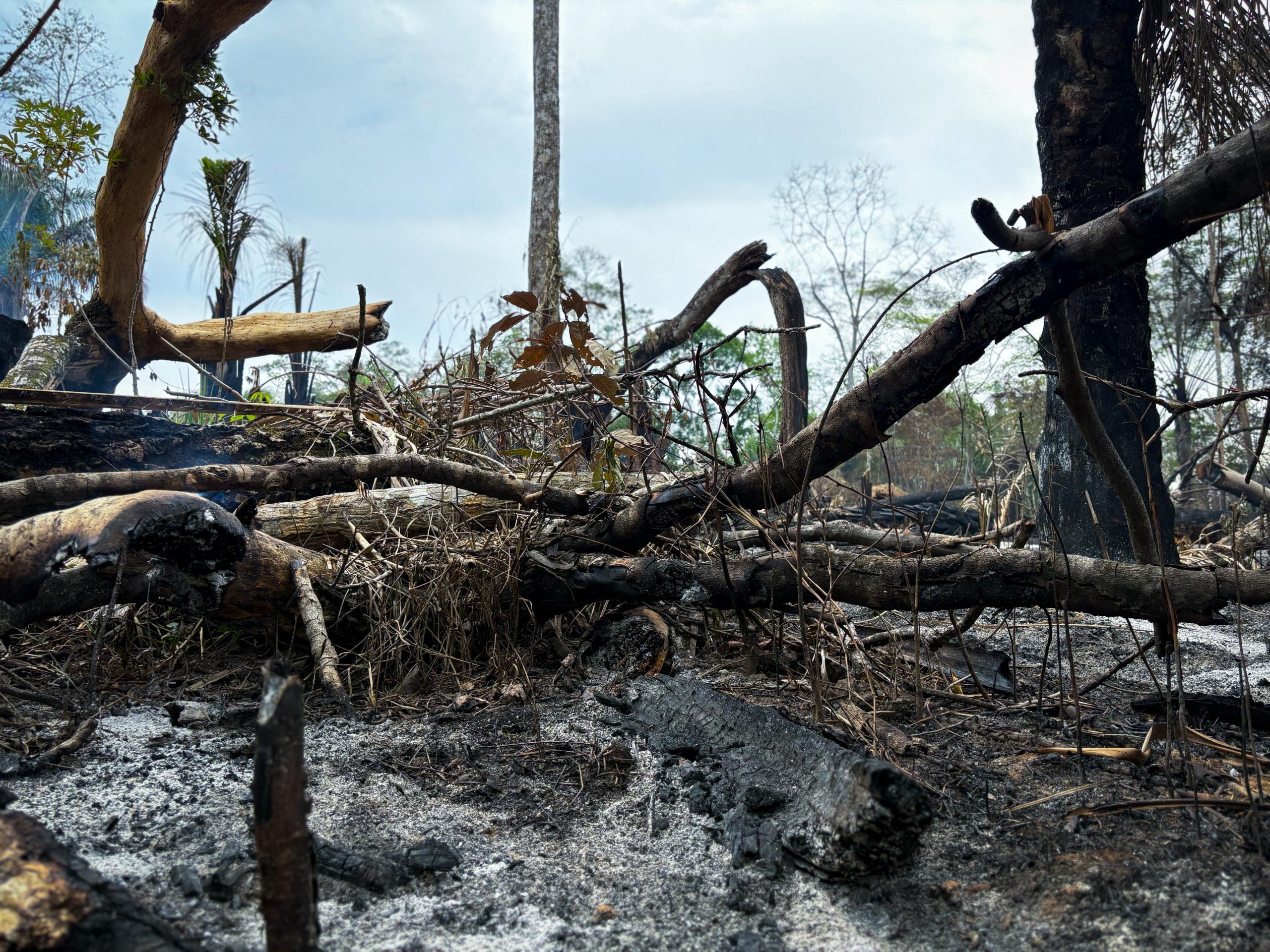 (Foto: Vitória Souza/Secom)