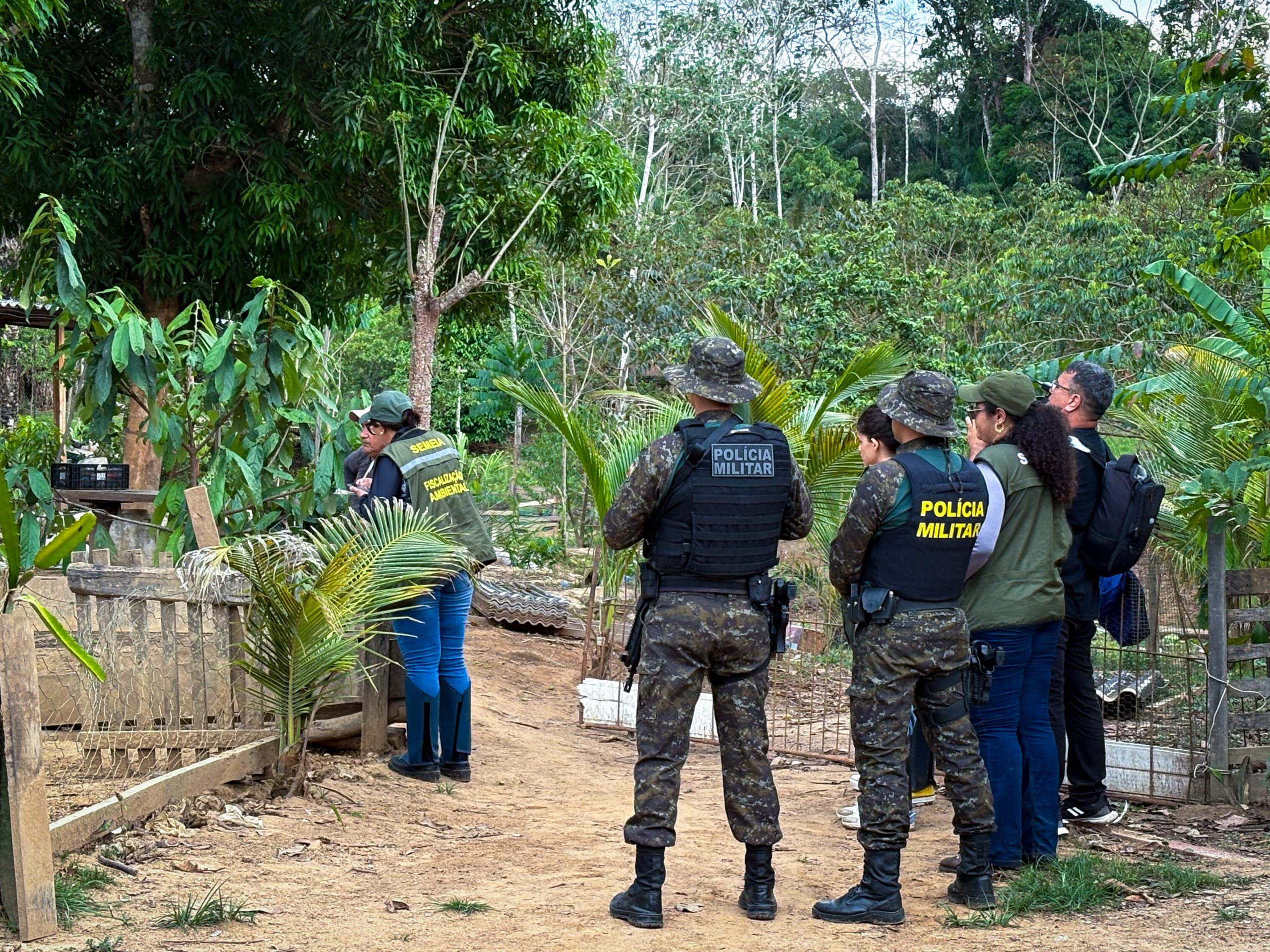 Os técnicos acompanham diariamente as áreas mais críticas, onde há maior incidência de crimes ambientais. (Foto: Vitória Souza/Secom)