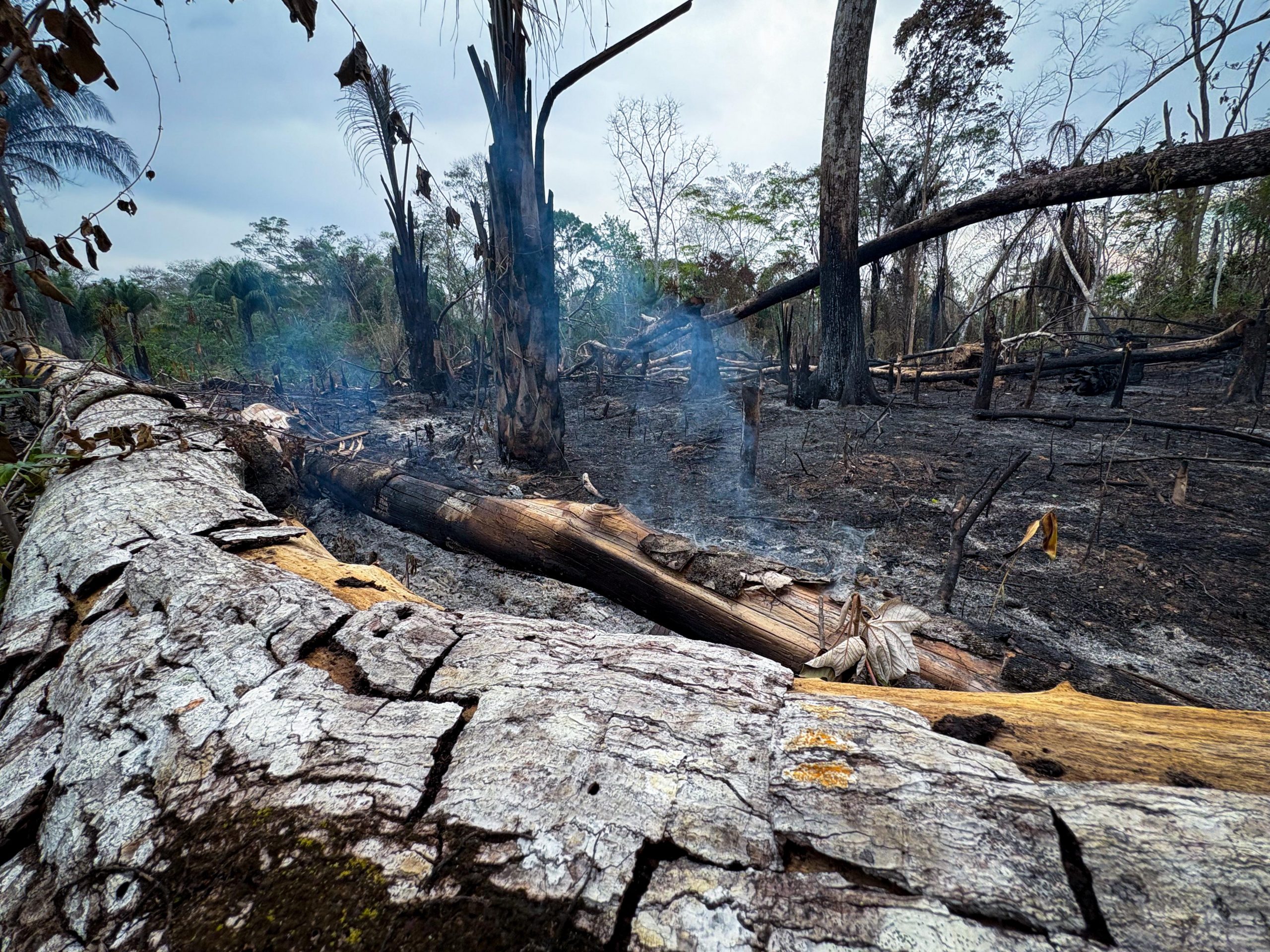 (Foto: Vitória Souza/Secom)