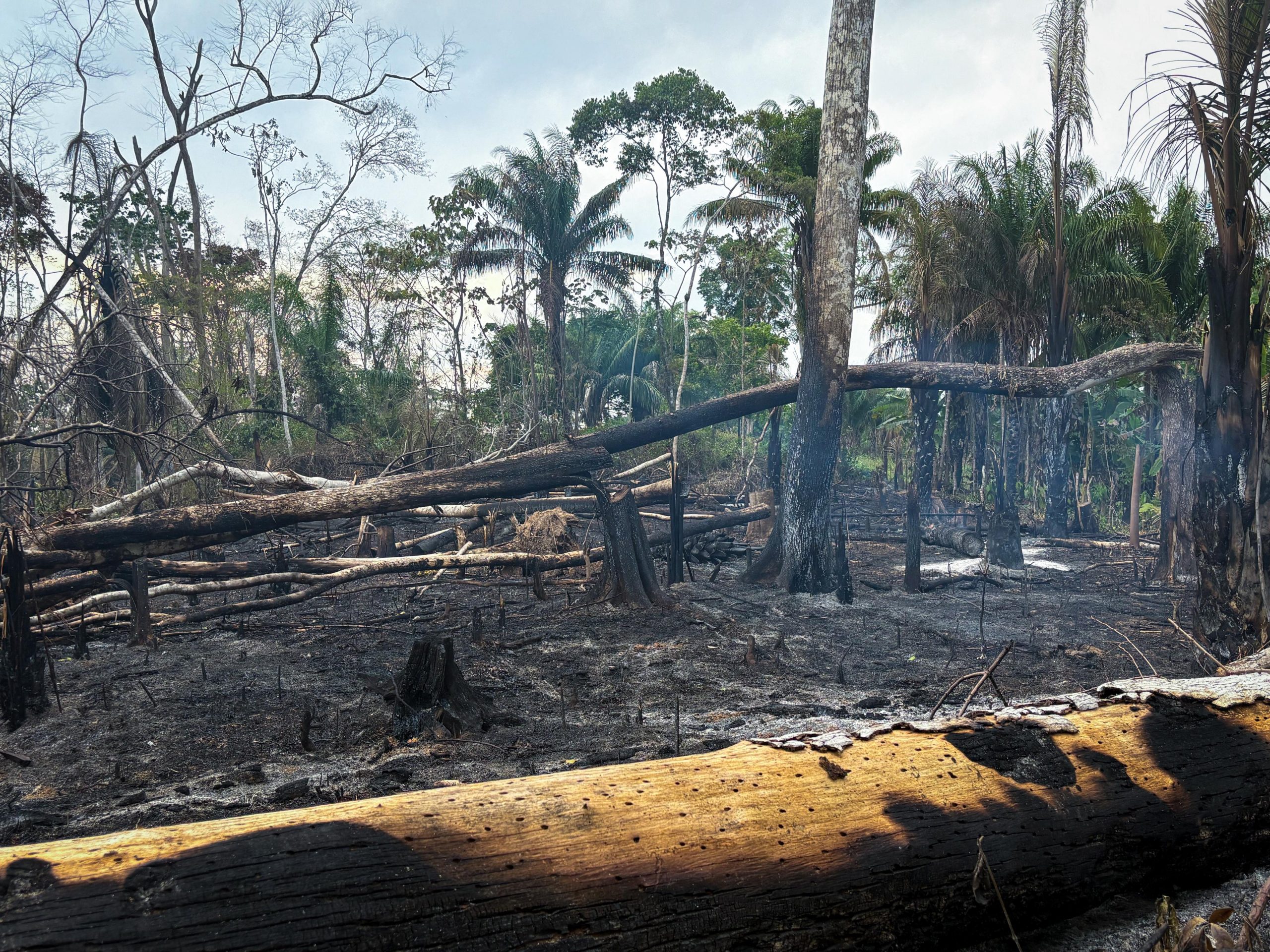 (Foto: Vitória Souza/Secom)