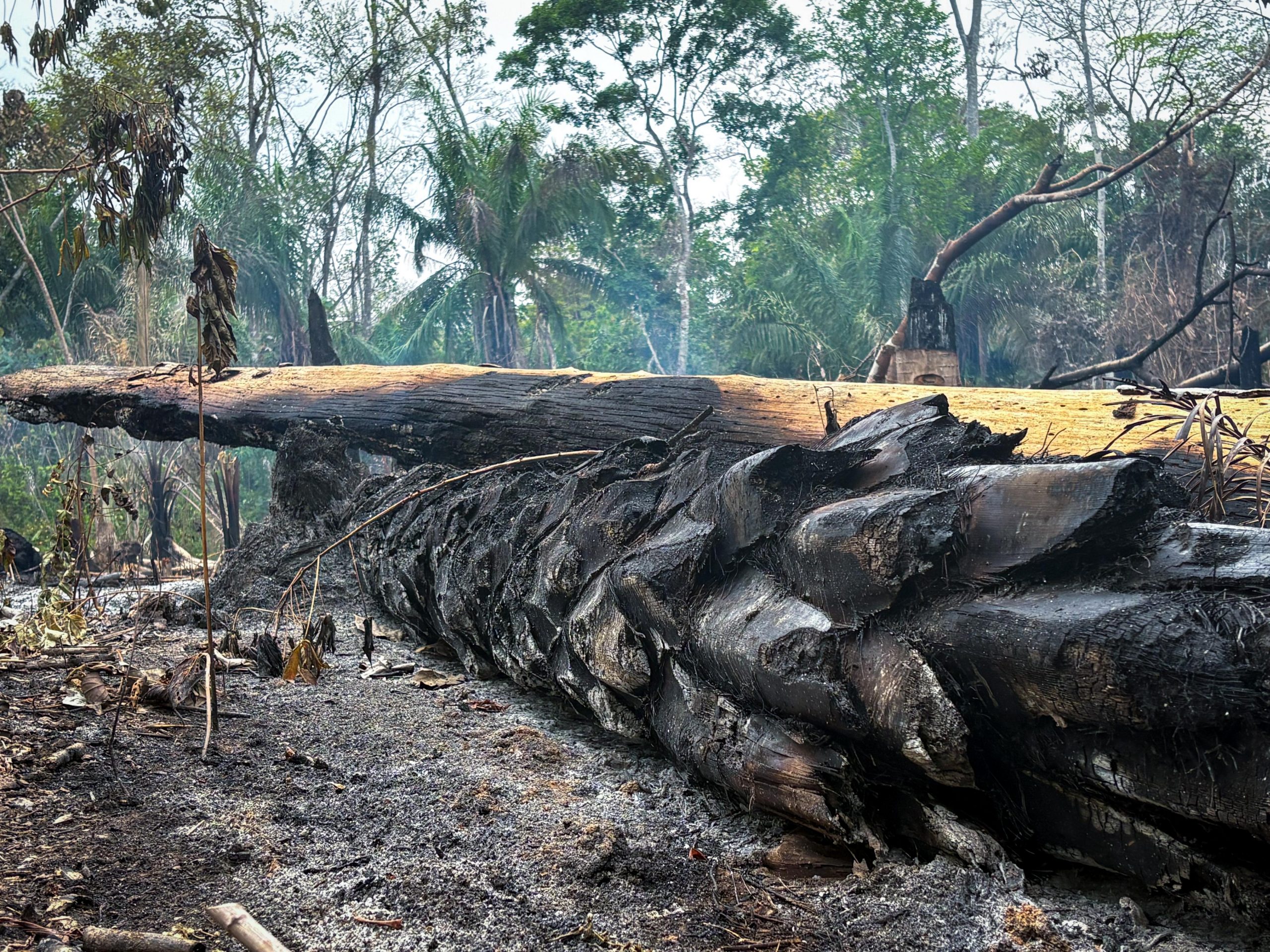 (Foto: Vitória Souza/Secom)
