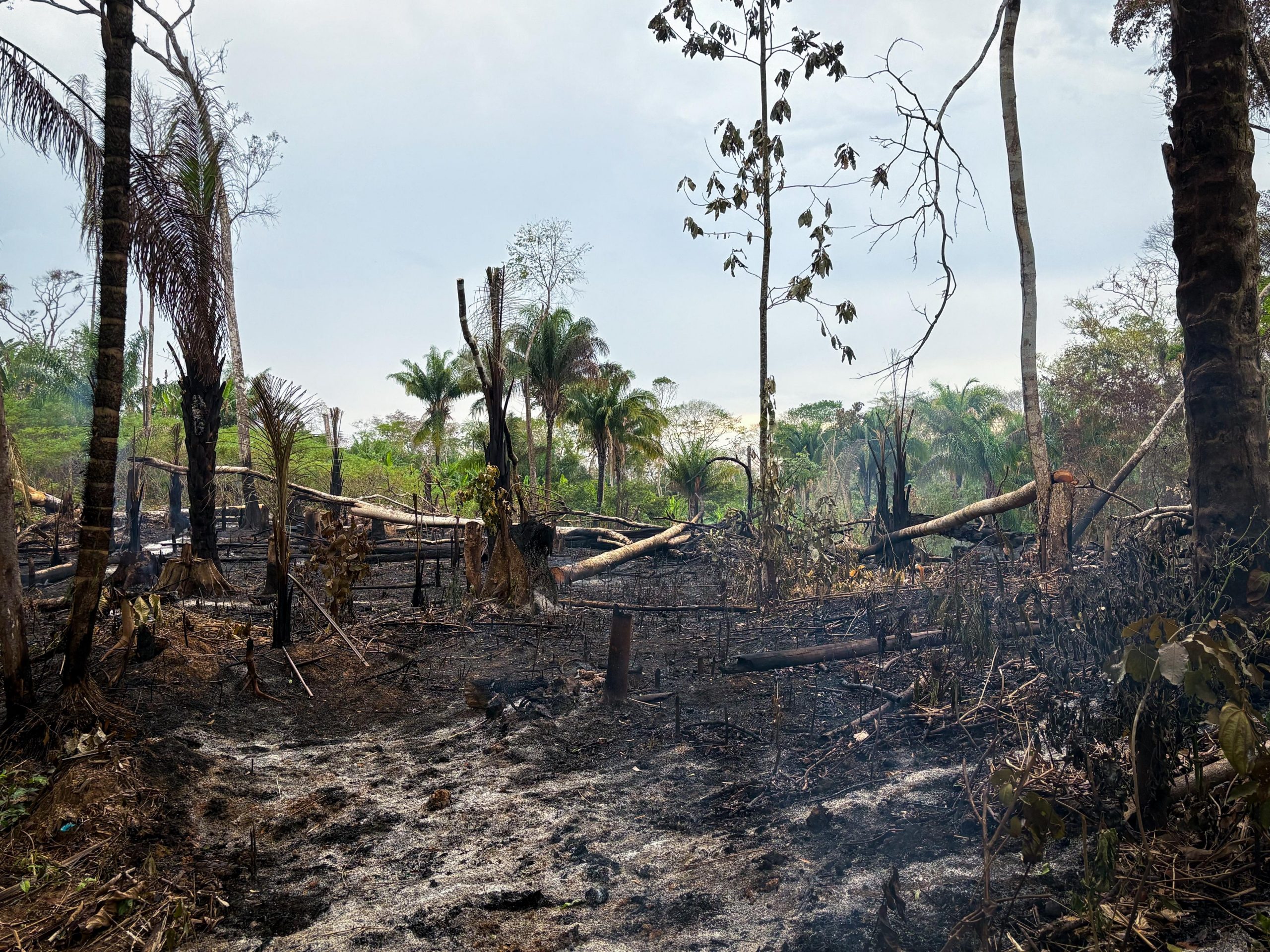 (Foto: Vitória Souza/Secom)