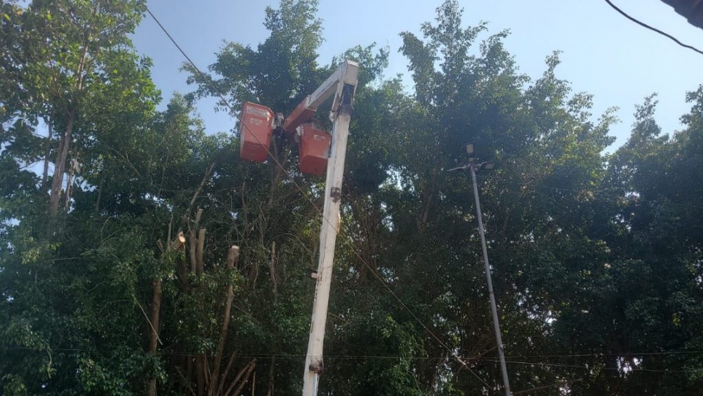 Prefeitura de Rio Branco esclarece poda de árvores realizada no Centro da cidade 2 Poda de arvores 3 e1757453140832