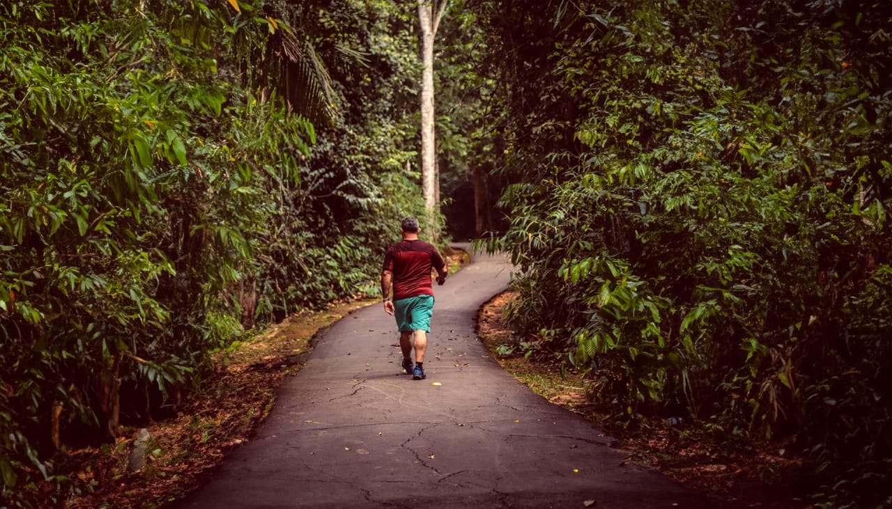 Foto Trilha Parque Chico Mendes