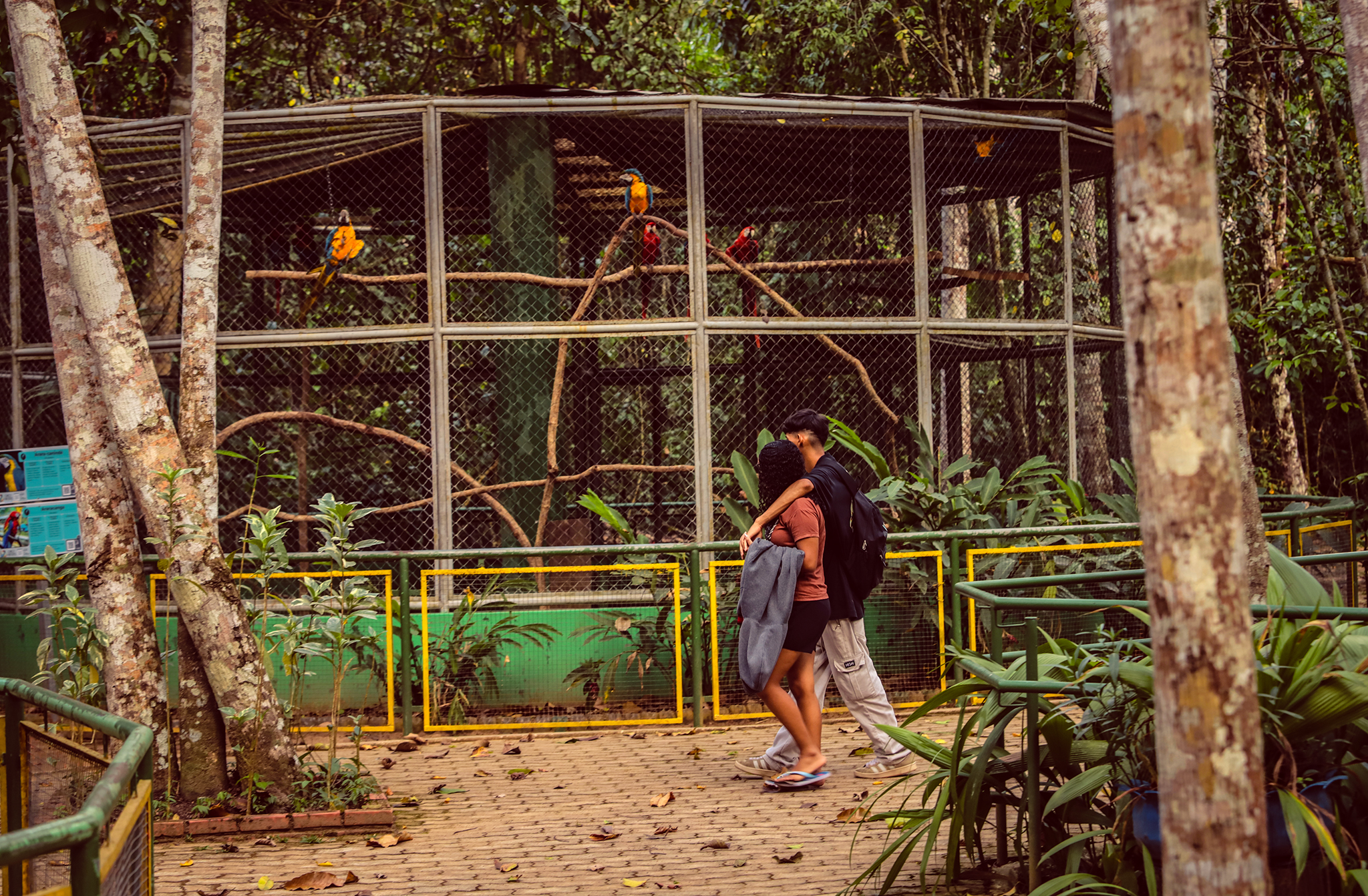 Foto zoológico Parque Chico Mendes