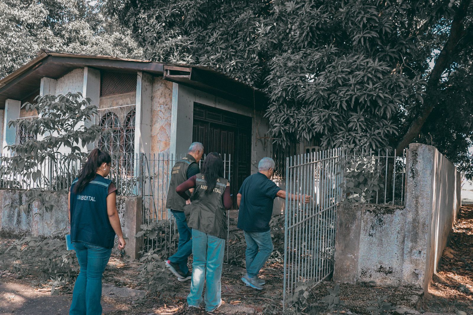 Foto da Vistoria da Semeia em árvores na Funasa