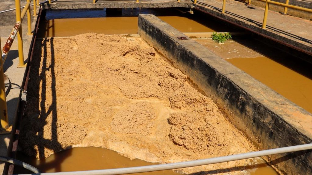 Coletiva Eta II 2 e1760990010376