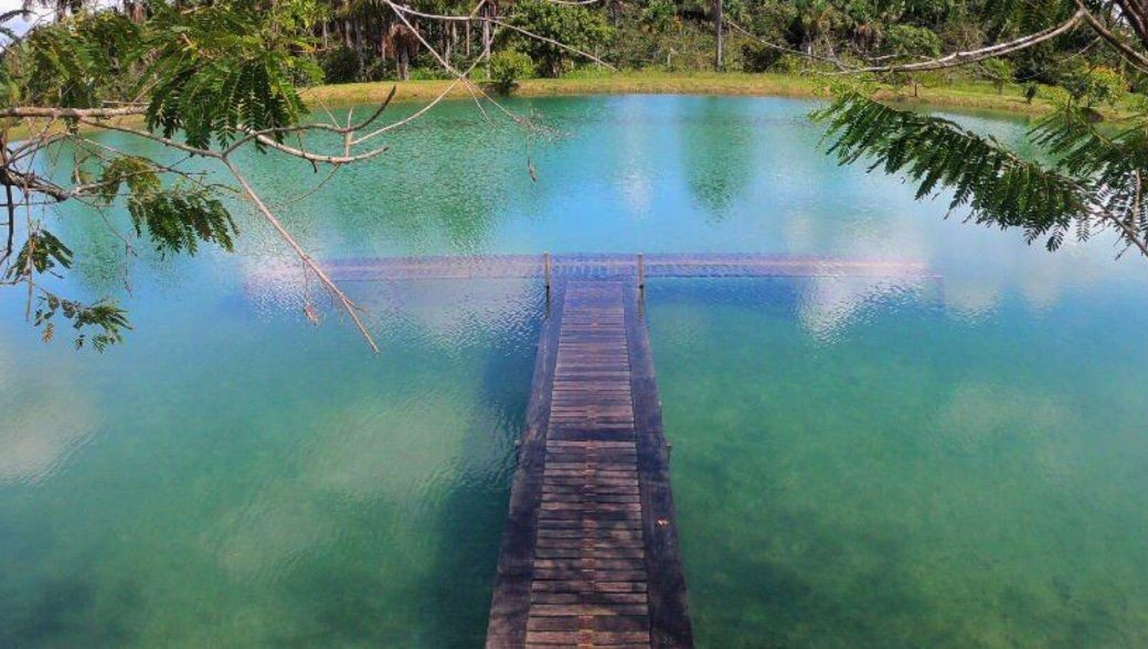 Rio Branco: coração do Acre, terra de resistência e de encantos 39 Foto Manto Verde