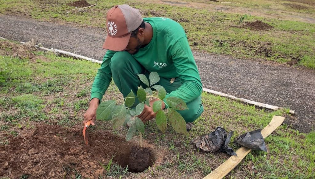 Prefeitura de Rio Branco inicia programa de recomposição da arborização urbana 4 arvores semeia Wilkes Silva 1 e1761599277161