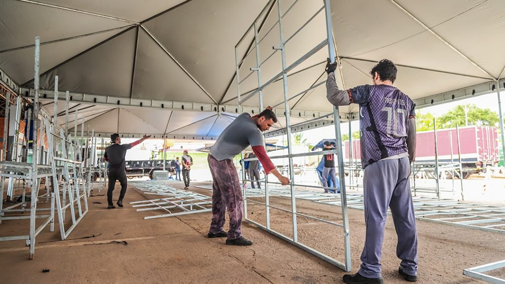 Abacaxi Val Fernandes 12 e1762374805435