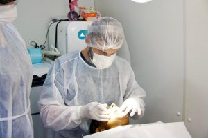 Foto de Atendimento em Saúde Bucal