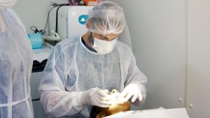 Foto de Atendimento em Saúde Bucal