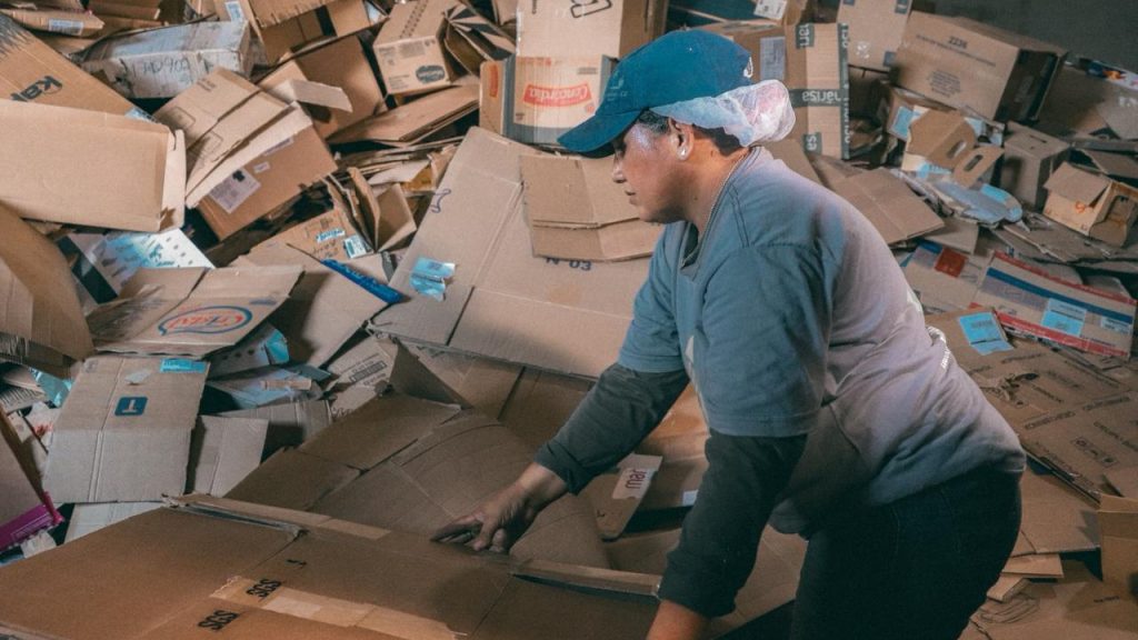 Coleta seletiva 14 e1762533068773