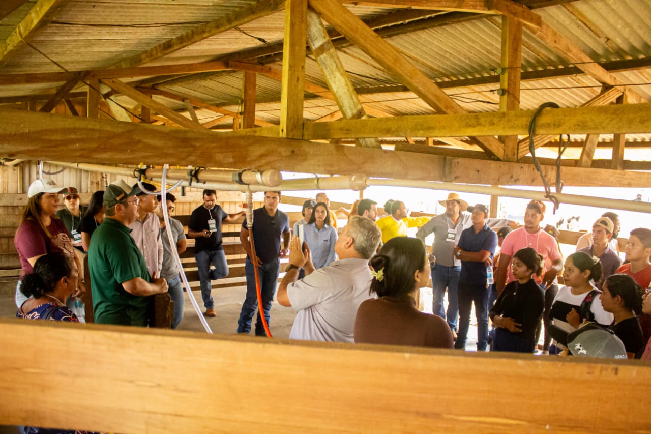 Desenvolvimento sustentavel da pecuaria leiteira 4