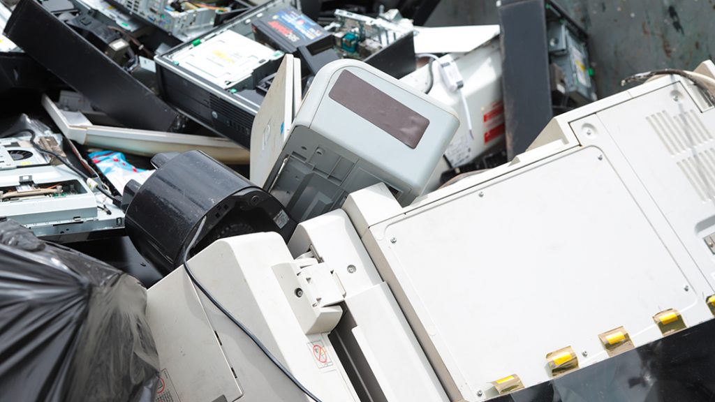 Eco Ponto Foto Val Fernandes 14 e1762292127239