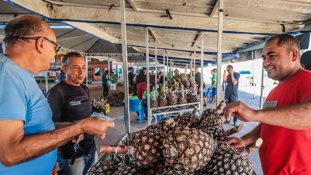 Festival do Abacaxi 3 e1762549782655