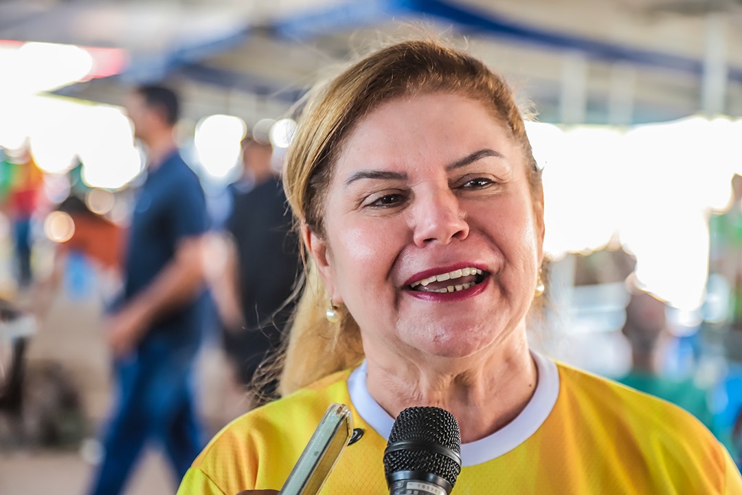 Festival do Abacaxi VAL 14