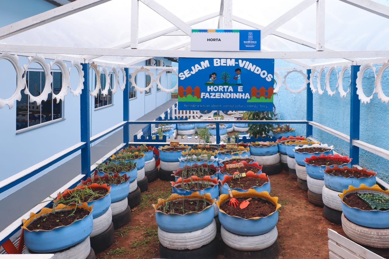Horta do projeto Hortas e Fazendinhas, onde as crianças aprendem sobre cultivo de legumes e verduras. (Foto: Marcos Araújo/Secom)