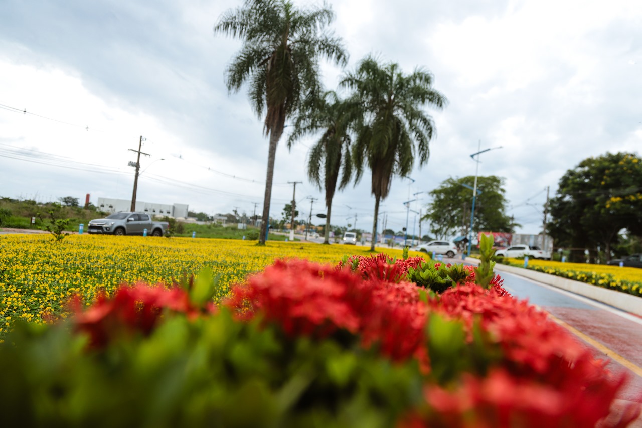Projeto paisagistico da Prefeitura de Rio Branco leva beleza e cores para as ruas da capital 4